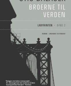 Labyrinten - Broerne til verden 2 (E-bog)