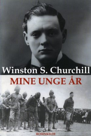 Mine unge år (E-bog)