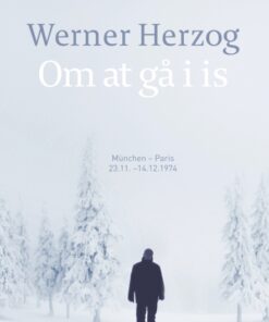 Om at gå i is (E-bog)