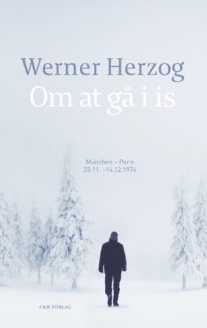 Om at gå i is (E-bog)