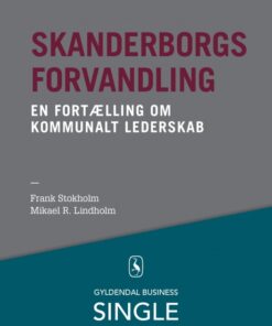 Skanderborgs forvandling - Den danske ledelseskanon, 8 (E-bog)