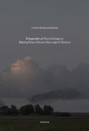 Tøndermarsken - Hans Edvard Nørregård-nielsen - Bog