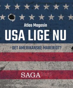 USA lige nu - det amerikanske mareridt? (E-bog)