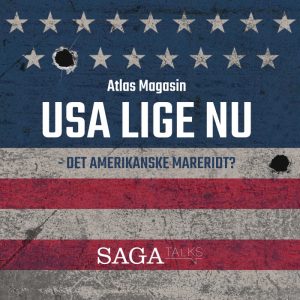 USA lige nu - det amerikanske mareridt? (E-bog)