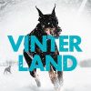 Vinterland