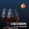 CALVADOS (E-bog)
