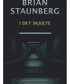 I DET SKJULTE (E-bog)