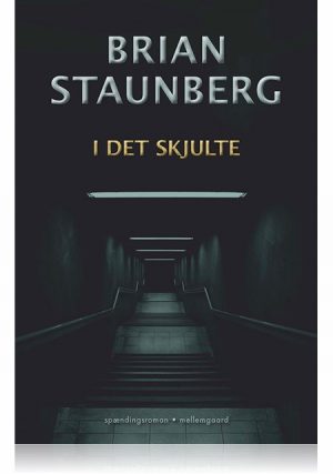 I DET SKJULTE (E-bog)