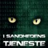 I sandhedens tjeneste (E-bog)