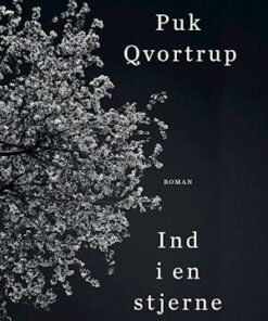 Ind i en stjerne