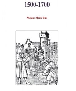 Matematik i Danmark 1500-1700 (E-bog)