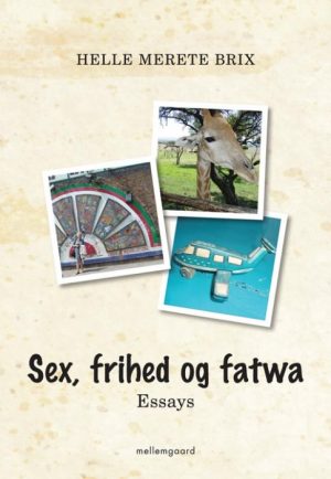 Sex, frihed og fatwa (E-bog)