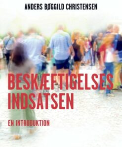 Beskæftigelsesindsatsen - Anders Bøggild Christensen - Bog