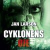Cyklonens øje (E-bog)