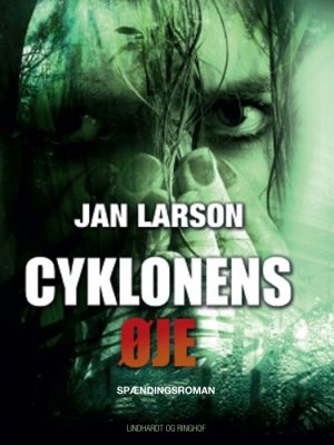 Cyklonens øje (E-bog)