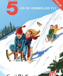 De 5 og de hemmelige fly (E-bog)