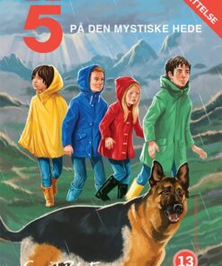 De 5 på den mystiske hede (E-bog)