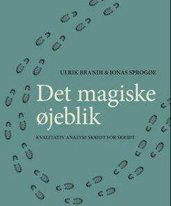 Det magiske øjeblik - kvalitativ analyse skridt for skridt