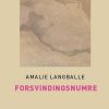 Forsvindingsnumre (Storskrift)