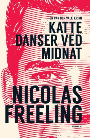 Katte danser ved midnat (E-bog)