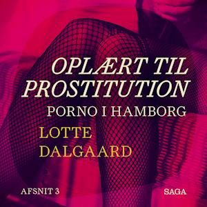 Oplært til prostitution 3: Porno i Hamborg