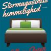 Stormagasinets hemmelighed (E-bog)